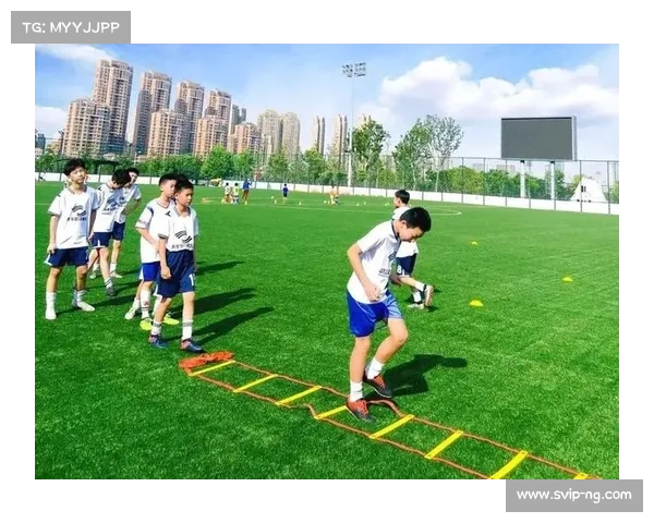 埃及足协携手德国启动金字塔青训计划 新建两所国际标准足球学院