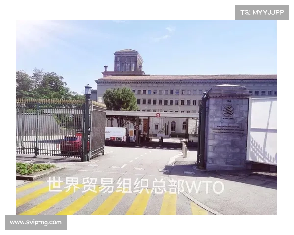 法甲兰斯启动香槟区青训计划 推动与比利时荷兰跨国选拔合作